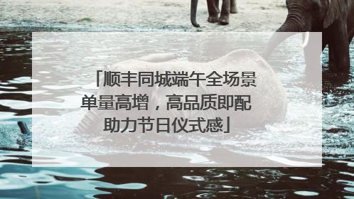 顺丰同城端午全场景单量高增，高品质即配助力节日仪式感