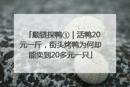 顺链探鸭①｜活鸭20元一斤，街头烤鸭为何却能卖到20多元一只