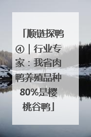 顺链探鸭④｜行业专家：我省肉鸭养殖品种80%是樱桃谷鸭