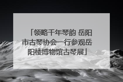 领略千年琴韵 岳阳市古琴协会一行参观岳阳楼博物馆古琴展