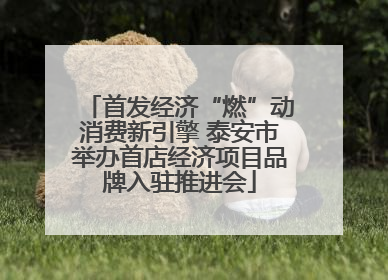 首发经济“燃”动消费新引擎 泰安市举办首店经济项目品牌入驻推进会