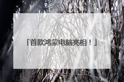 首款鸿蒙电脑亮相！
