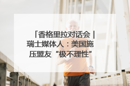 香格里拉对话会｜瑞士媒体人：美国施压盟友“极不理性” 欧洲国家无意与中国“脱钩断链”