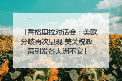 香格里拉对话会：美欧分歧再次显现 美关税政策引发各大洲不安