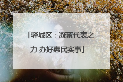 驿城区：凝聚代表之力 办好惠民实事