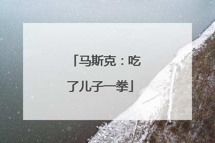 马斯克：吃了儿子一拳