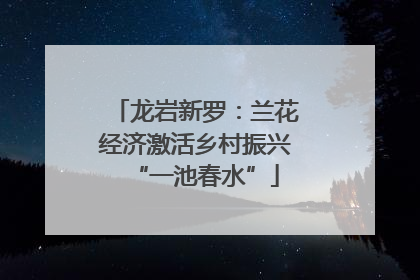 龙岩新罗：兰花经济激活乡村振兴“一池春水”