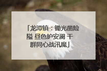 龙潭镇：锄光凿险隘 昼色护安澜 干群同心战汛魔