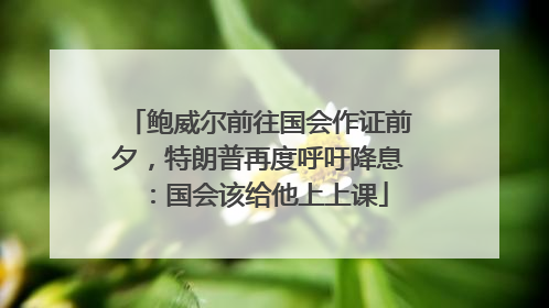鲍威尔前往国会作证前夕，特朗普再度呼吁降息：国会该给他上上课