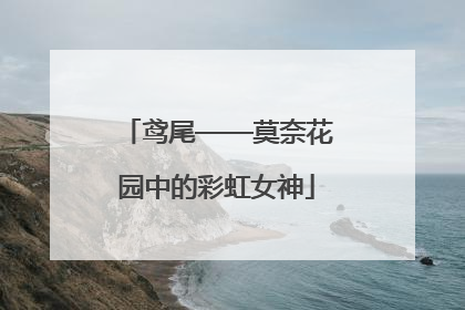 鸢尾——莫奈花园中的彩虹女神