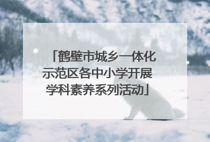 鹤壁市城乡一体化示范区各中小学开展学科素养系列活动