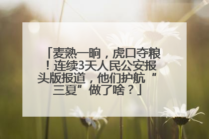 麦熟一晌，虎口夺粮！连续3天人民公安报头版报道，他们护航“三夏”做了啥？