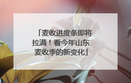 麦收进度条即将拉满！看今年山东麦收季的新变化