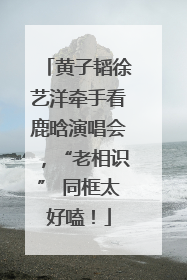 黄子韬徐艺洋牵手看鹿晗演唱会，“老相识” 同框太好嗑！