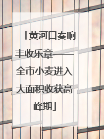 黄河口奏响丰收乐章——全市小麦进入大面积收获高峰期