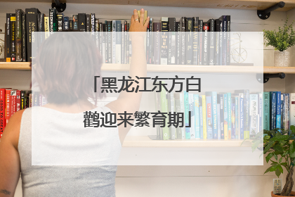 黑龙江东方白鹳迎来繁育期