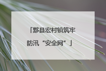黟县宏村镇筑牢防汛“安全网”