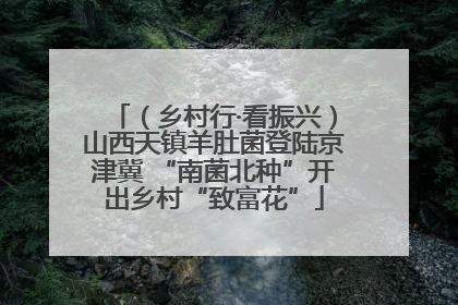 （乡村行·看振兴）山西天镇羊肚菌登陆京津冀 “南菌北种”开出乡村“致富花”