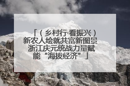 （乡村行·看振兴）新农人绘就共富新图景 浙江庆元统战力量赋能“海拔经济”