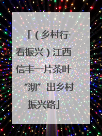 （乡村行·看振兴）江西信丰一片茶叶“沏”出乡村振兴路