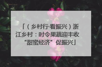 （乡村行·看振兴）浙江乡村：时令果蔬迎丰收 “甜蜜经济”促振兴