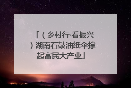 （乡村行·看振兴）湖南石鼓油纸伞撑起富民大产业