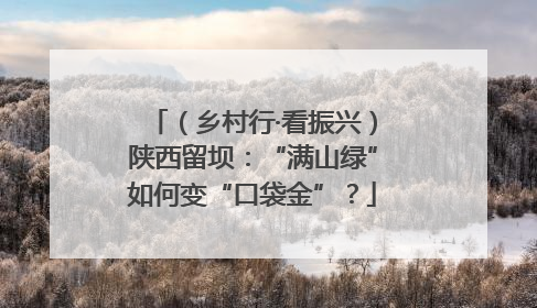 （乡村行·看振兴）陕西留坝：“满山绿”如何变“口袋金”？