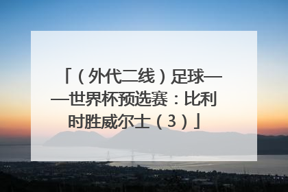 （外代二线）足球——世界杯预选赛：比利时胜威尔士（3）