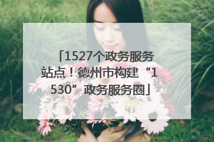 1527个政务服务站点！德州市构建“1530”政务服务圈