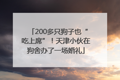 200多只狗子也“吃上席”！天津小伙在狗舍办了一场婚礼