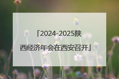 2024-2025陕西经济年会在西安召开