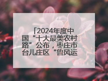2024年度中国“十大最美农村路”公布，枣庄市台儿庄区“鲁风运河”古城文化廊道上榜！