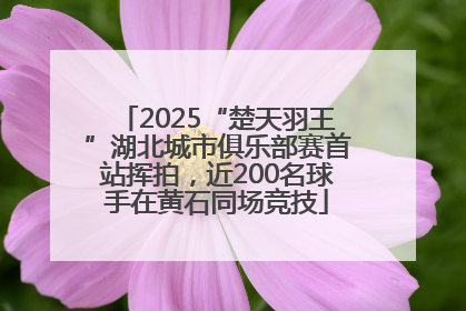 2025“楚天羽王”湖北城市俱乐部赛首站挥拍，近200名球手在黄石同场竞技