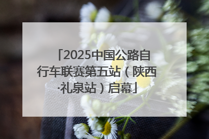 2025中国公路自行车联赛第五站（陕西·礼泉站）启幕