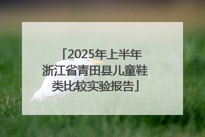 2025年上半年浙江省青田县儿童鞋类比较实验报告