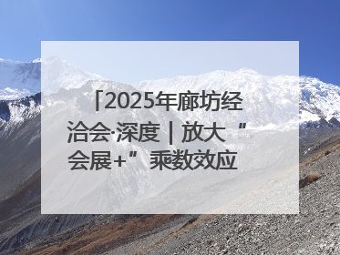 2025年廊坊经洽会·深度｜放大“会展+”乘数效应 打造消费新场景