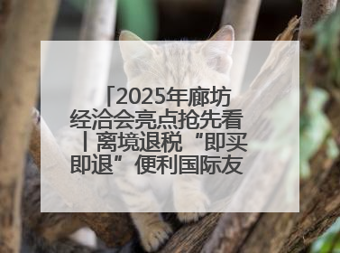 2025年廊坊经洽会亮点抢先看丨离境退税“即买即退”便利国际友人“买买买”