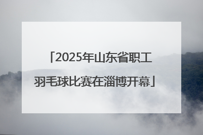 2025年山东省职工羽毛球比赛在淄博开幕