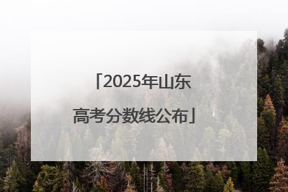 2025年山东高考分数线公布