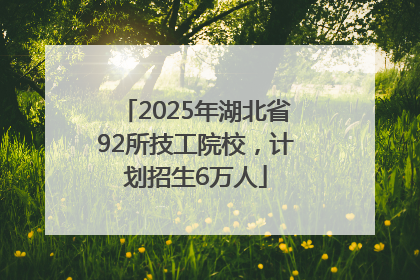2025年湖北省92所技工院校，计划招生6万人