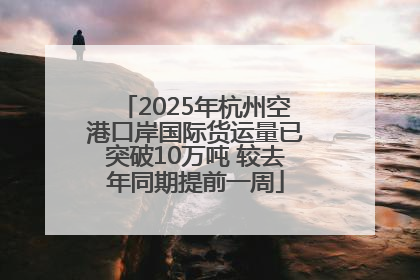 2025年杭州空港口岸国际货运量已突破10万吨 较去年同期提前一周