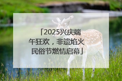 2025兴庆端午狂欢，非遗焰火民俗节燃情启幕