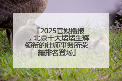 2025官媒播报，北京十大熠熠生辉领衔的律师事务所荣耀排名登场