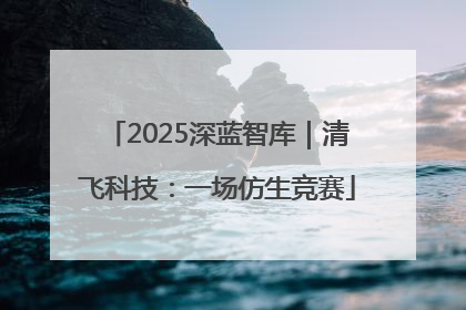 2025深蓝智库｜清飞科技：一场仿生竞赛