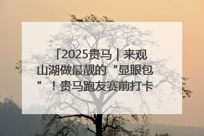 2025贵马｜来观山湖做最靓的“显眼包”！贵马跑友赛前打卡点燃奔跑热情