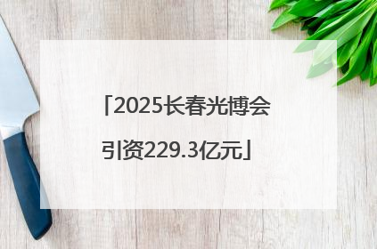 2025长春光博会引资229.3亿元