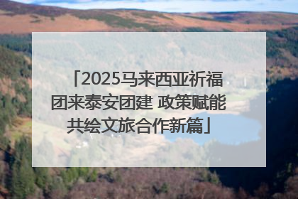 2025马来西亚祈福团来泰安团建 政策赋能共绘文旅合作新篇