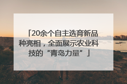 20余个自主选育新品种亮相，全面展示农业科技的“青岛力量”
