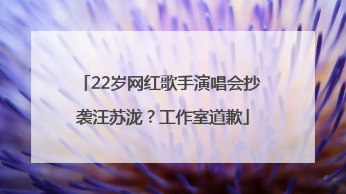22岁网红歌手演唱会抄袭汪苏泷？工作室道歉