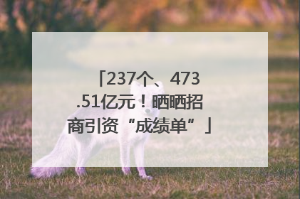 237个、473.51亿元！晒晒招商引资“成绩单”
